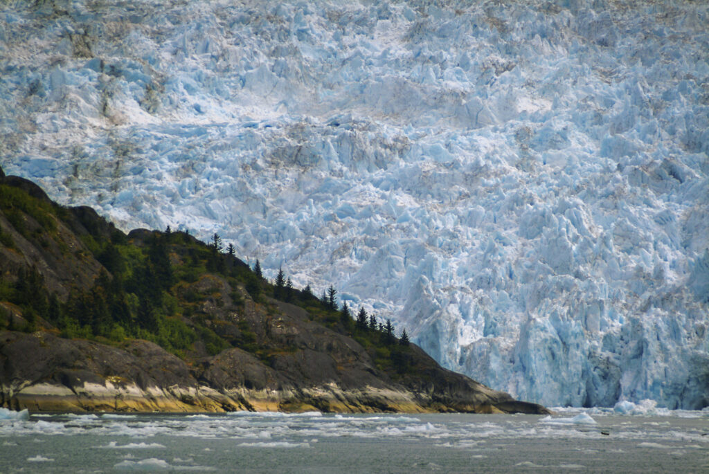 The LeConte Glacier in Petersburg AK