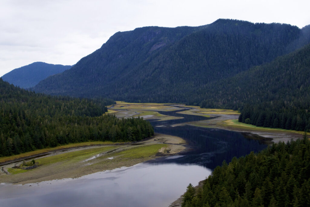 Wrangell Narrows from above